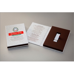 Коробочка-книжечка с ламинированной обложкой для стандартной флешки для оформления выпускного